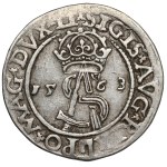 Sigismund II Augustus, Vilnius Triak, 1563 – ribbed – LI / L – RARE
