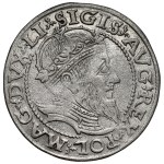 Sigismund II Augustus, Lithuanian-style grosz, 1559, Vilnius - LI