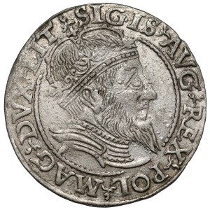 Zygmunt II August, Grosz na stopę litewską 1559, Wilno - LITV