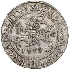 Sigismund II Augustus, Lithuanian-foot grosz, 1559, Vilnius - LITV