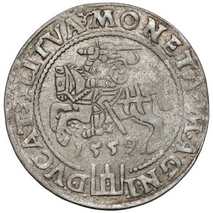 Sigismund II Augustus, Lithuanian-foot grosz, 1559, Vilnius - LITVA