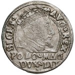 Sigismund II. August, Grosz nach polnischem Maß, 1546, Vilnius – Datum im RAND