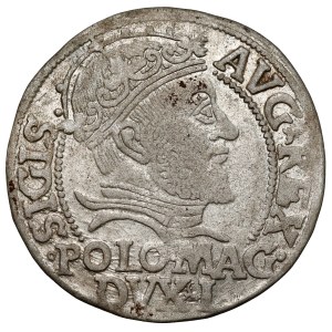 Sigismund II Augustus, Polish foot grosz, 1546, Vilnius - L
