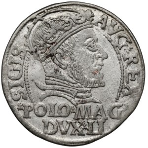 Sigismund II Augustus, Polish-foot grosz, 1546, Vilnius - LI