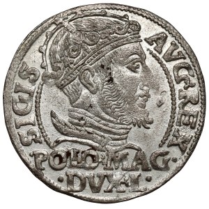 Sigismund II Augustus, Polish grosz, 1548, Vilnius