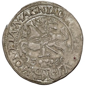 Sigismund II Augustus, Polish foot grosz, 1566, Tykocin–Jastrzębiec