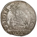 Sigismund II Augustus, Polish foot grosz, 1566, Tykocin–Jastrzębiec