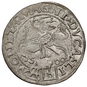 Zygmunt II August, Grosz na stopę polską 1566, Tykocin - LI