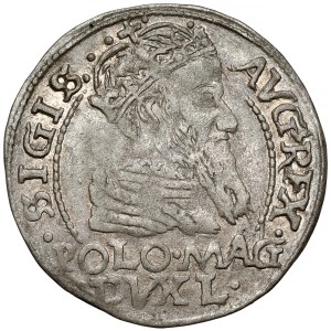 Zygmunt II August, Grosz na stopę polską 1566, Tykocin - LITV