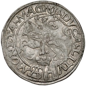 Zygmunt II August, Grosz na stopę polską 1566, Tykocin - LITV