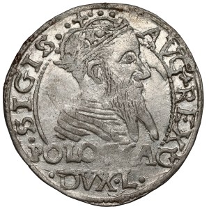 Sigismund II. August, Groschen nach polnischem Fuß, 1567, Tykocin – frühe Nachprägung
