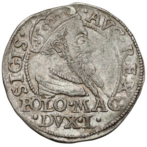 Zygmunt II August, Grosz na stopę polską 1568, Tykocin - LITV