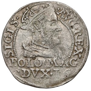 Sigismund II Augustus, Polish foot grosz, 1568, Tykocin - LIT*