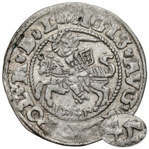Sigismund II Augustus, Vilnius Half-Groschen, 1545 – SIGIS at Pogoń