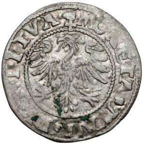 Sigismund II Augustus, Vilnius Half-Groschen, 1545 – SIGIS at Pogoń