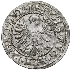 Zygmunt II August, Półgrosz Wilno 1546 - najstarszy - LIT