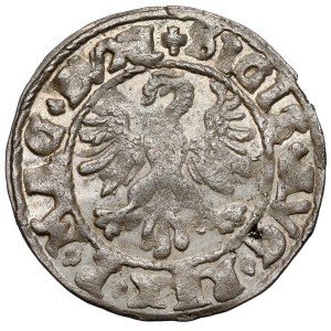Zygmunt II. August, polgrosz z Vilniusu z roku 1546 – najstaršia – LITV