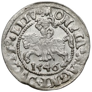 Sigismund II. August, Halbgroschen aus Vilnius 1546 – ovales Münzfeld