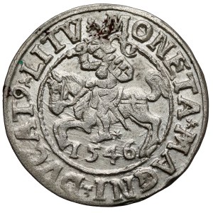 Zygmunt II August, Półgrosz Wilno 1546 - gładka grzywa