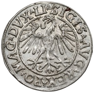 Zygmunt II August, Półgrosz Wilno 1546 - gładka grzywa
