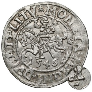 Sigismund II Augustus, Vilnius Half-Groschen, 1546 - RARE Pogoń