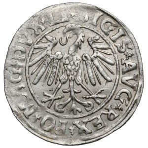 Sigismund II Augustus, Vilnius Half-Groschen, 1546 - RARE Pogoń