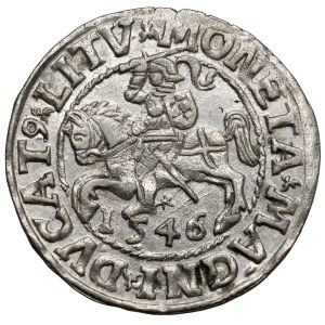 Zygmunt II August, Półgrosz Wilno 1546 - nastroszona grzywa