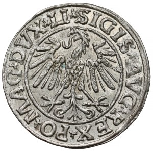 Sigismund II Augustus, Vilnius Half-Groschen, 1547