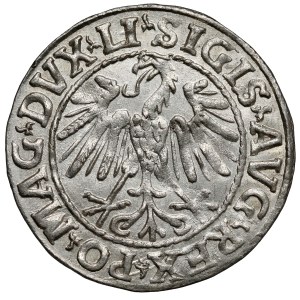 Zygmunt II August, Półgrosz Wilno 1547