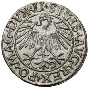 Sigismund II. August, Halbgroschen aus Vilnius 1548 – arabisch