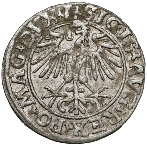Zygmunt II. August, polgroš z Vilniusa z roku 1549 – jednoduchá verzia – L