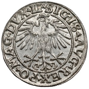 Sigismund II Augustus, Vilnius Half-Groschen, 1550 - LI