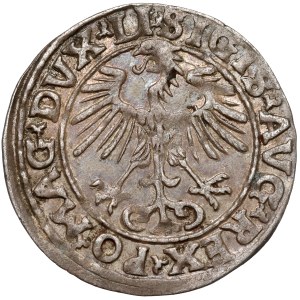 Sigismund II. August, Halbgroschen aus Vilnius 1553 – seltener