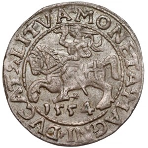 Sigismund II Augustus, Vilnius Half-Groschen, 1554—a rare year
