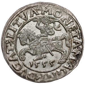 Sigismund II Augustus, Vilnius Half-Groschen, 1555