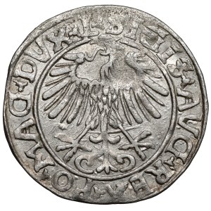 Sigismund II. August, Halbgroschen, Vilnius 1556 – L