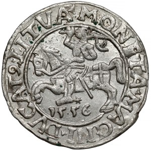Zygmunt II August, Półgrosz Wilno 1556 - LI