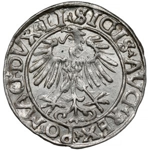 Zygmunt II August, Półgrosz Wilno 1556 - LI