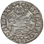 Zygmunt II August, Półgrosz Wilno 1557 - koniczyna