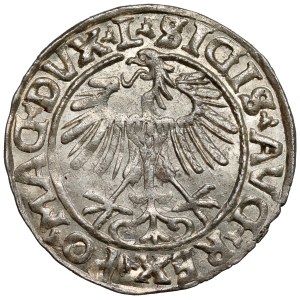 Sigismund II Augustus, Vilnius Half-Grosz, 1557