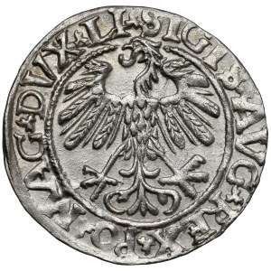 Zygmunt II. August, polgrosz z Vilniusu 1558 – LITV