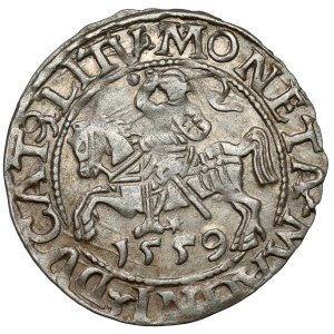 Zygmunt II August, Półgrosz Wilno 1559 - LITV
