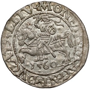 Zygmunt II. August, polgrosz z Vilniusu, 1560 – LITV
