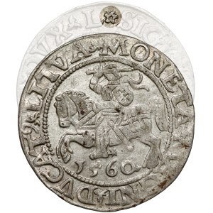 Sigismund II Augustus, Vilnius Half-Grosz, 1560 – rosette