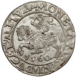 Sigismund II Augustus, Vilnius Half-Grosz, 1560 – rosette