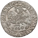 Sigismund II Augustus, Vilnius Half-Groschen, 1560 – rosette