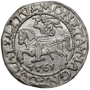 Sigismund II Augustus, Vilnius Half-Grosz, 1561 - L / LITV