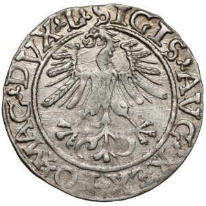 Sigismund II Augustus, Vilnius Half-Grosz, 1561 - L / LITVA