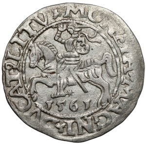 Sigismund II Augustus, Vilnius Half-Groschen, 1561 - LI / LITV