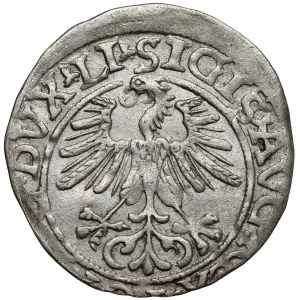 Sigismund II Augustus, Vilnius Half-Groschen, 1561 - LI / LITV